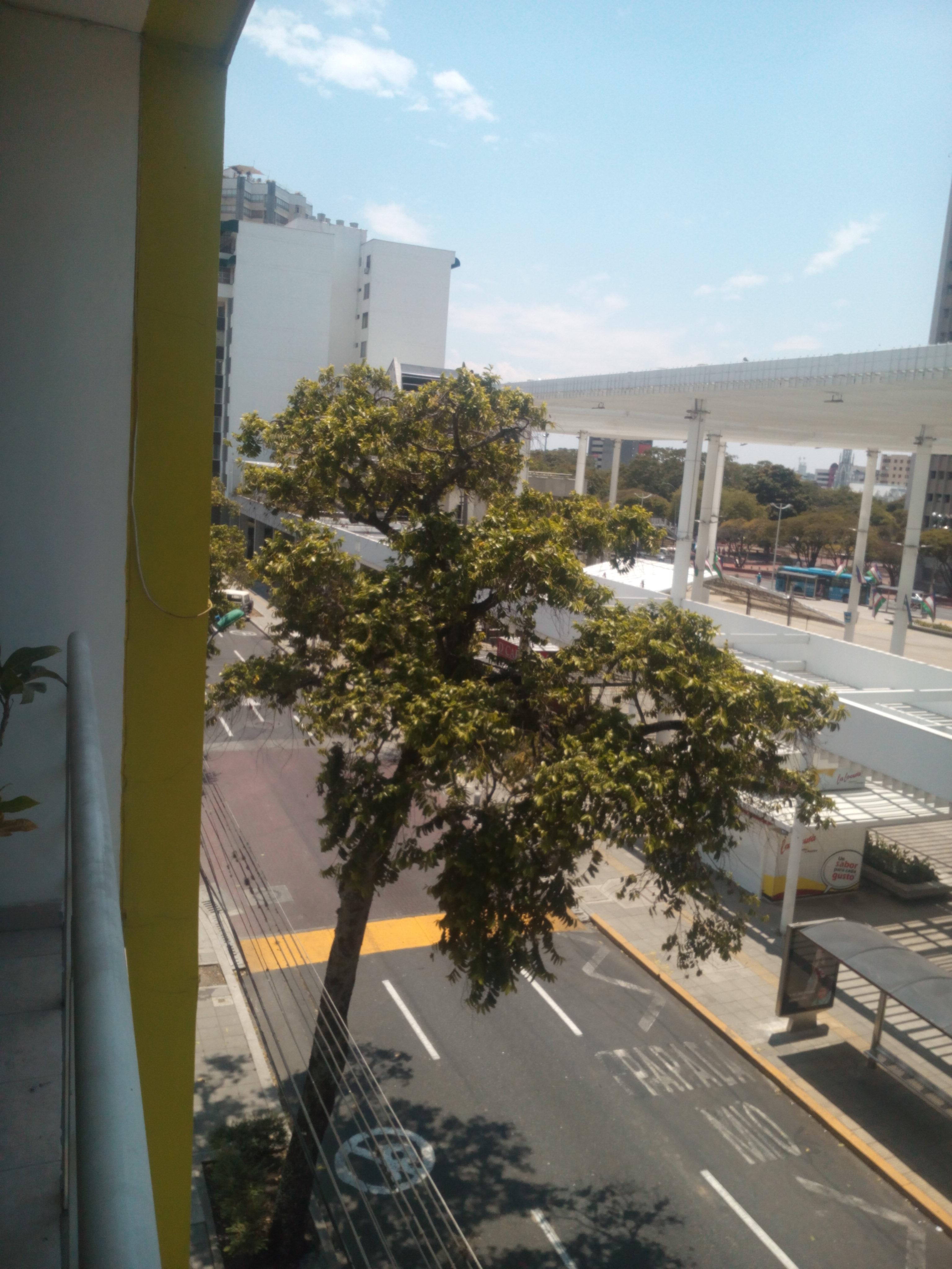 Hotel Cuarta Avenida كالي المظهر الخارجي الصورة